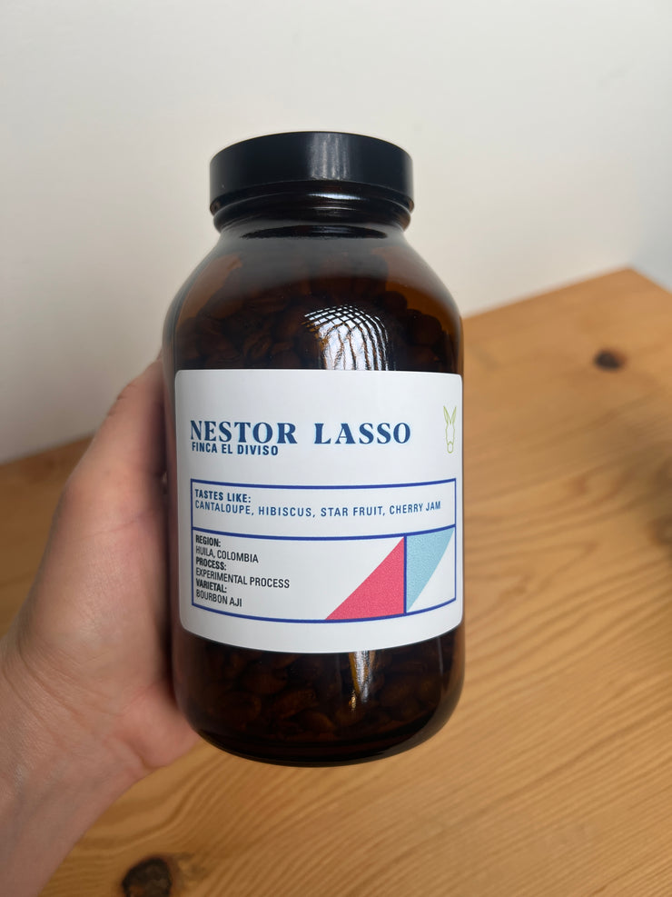 Apothecary Collection- Nestor Lasso Experimental Process