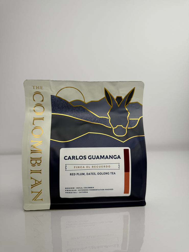 Carlos Guamanga- Colombia