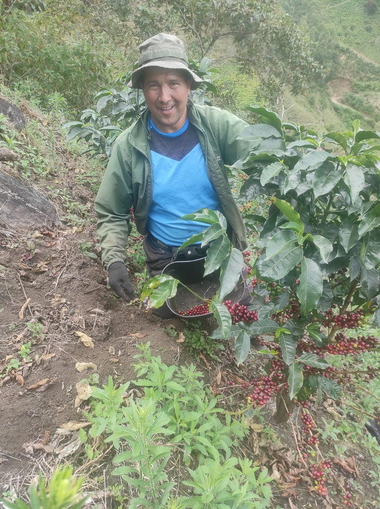 Vicente Benavides- Colombia