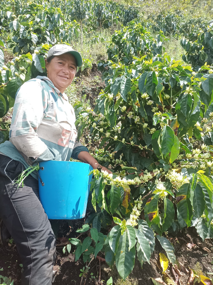 Vicente Benavides- Colombia